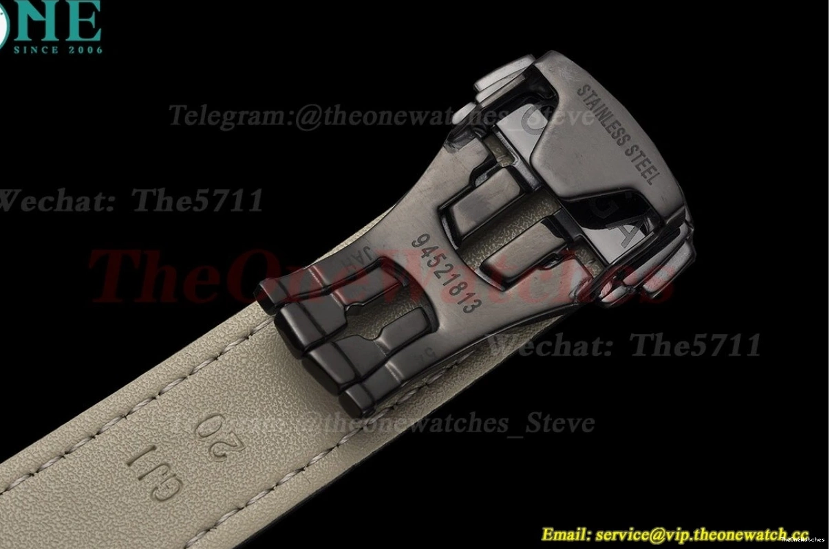 PVD Gradient Seamaster Blue Dial GDF 41mm MY8215 LE 0311